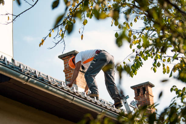 Best Roof Restoration Services  in St Paul, MN