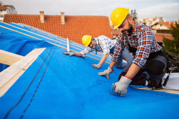 Professional Roofing Contractor in St Paul, MN
