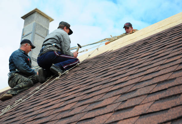Best New Roof Installation  in St Paul, MN